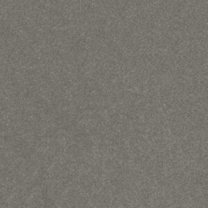 HARD AT PLAY I 15' by Shaw Floors - Shy Sage