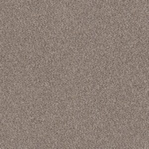 TRUSPIRIT II by Shaw Floors - Concrete