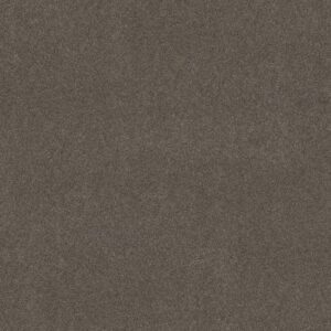 BOUNDLESS IV by Shaw Floors - Magnetic