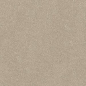HARD AT PLAY I 15' by Shaw Floors - Natural