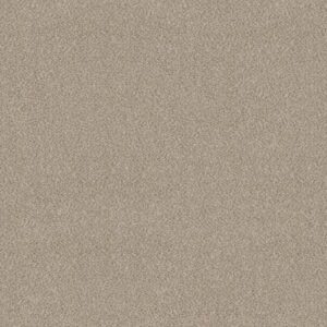 TRUSPLENDOR by Shaw Floors - Mist