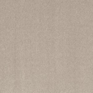 SMOOTH TALK I by Shaw Floors - Bare Mineral