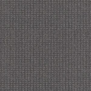 STAY FIT by Shaw Floors - Shipwreck