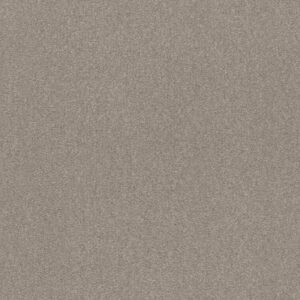 WELL GROUNDED III 12 by Shaw Floors - Greige