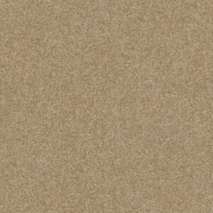 SANDY HOLLOW III 12' by Shaw Floors - Sahara