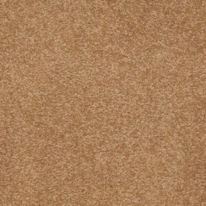 SOPHISTICATION 12' by Shaw Floors - Peanut Brittle