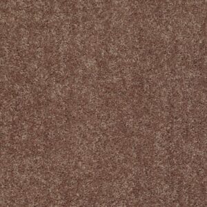 ROYAL PORTRUSH I 12' by Shaw Floors - Cattail