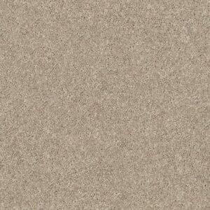 MOMENTUM II by Shaw Floors - High Beam
