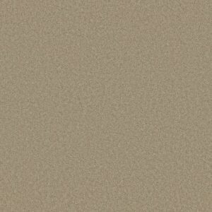 AROUND THE HOUSE III by Shaw Floors - Stucco