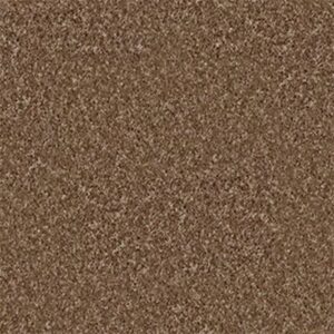 VITALIZE (S) 12' by Shaw Floors - Barn Wood