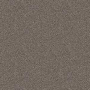 GRANDIOSE by Shaw Floors - Fossil Path