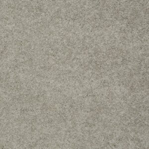 MY INSPIRATION II by Shaw Floors - Natural