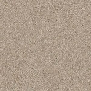MOMENTUM I by Shaw Floors - High Beam