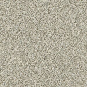 CABANA LIFE (B) by Shaw Floors - Seashell