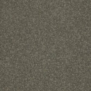 BASIC RULES by Shaw Floors - Portobello