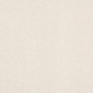 BASIC RULES by Shaw Floors - Oatmeal