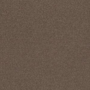ALL STAR WEEKEND II 12' by Shaw Floors - Driftwood
