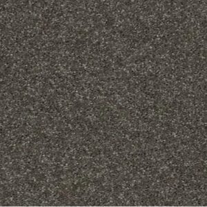 ALL STAR WEEKEND II 15' by Shaw Floors - Barn Beam