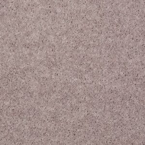 ALL STAR WEEKEND II 15' by Shaw Floors - Bare Mineral