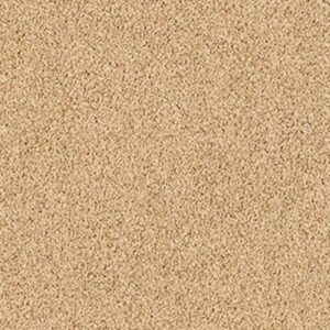 LONESTAR by Shaw Floors - Acorn