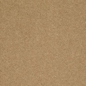 SANDY HOLLOW CLASSIC II 12 by Shaw Floors - Cork