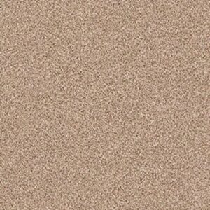 GOLD TEXTURE TONAL by Shaw Floors - Hidden Treasure