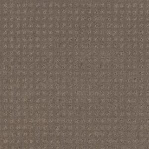 TOWN SQUARE by Shaw Floors - Smokestack