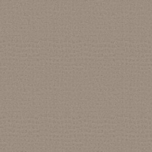 SOLSTICE by Shaw Floors - Barista