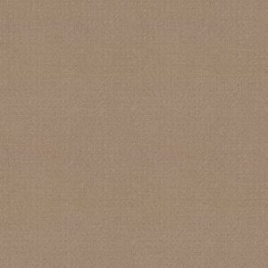 TOWN SQUARE by Shaw Floors - Beach Grass