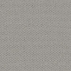 DEL VISTA by Shaw Floors - Silver Fox