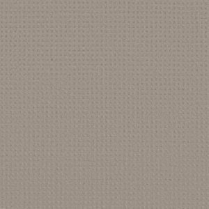 TOWN SQUARE by Shaw Floors - Ash Mist