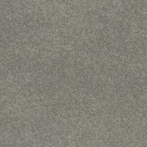 EXPLORER by Shaw Floors - Stillwater