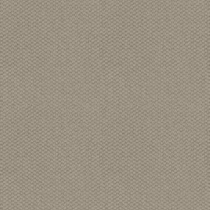 CATHEDRAL HILL II by Shaw Floors - Cement