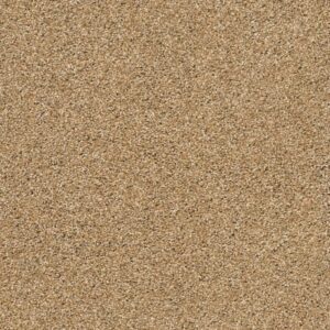 ACADIA PARK by Shaw Floors - Caramelo