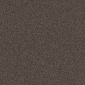 COZY HARBOR I by Shaw Floors - Burma Brown