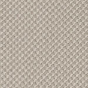 INSPIRED DESIGN by Shaw Floors - Sandstone