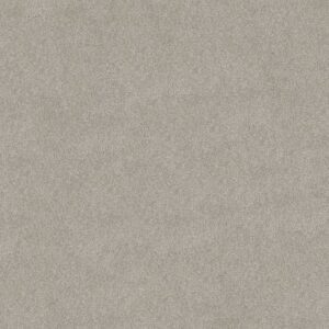 COZY HARBOR I by Shaw Floors - Cold Winter