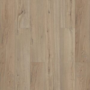 Paladin Plus by Shaw Floors - Driftwood