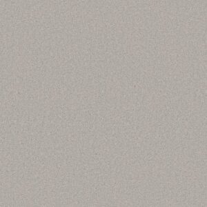 CASHMERE CLASSIC I by Shaw Floors - Silver Lining
