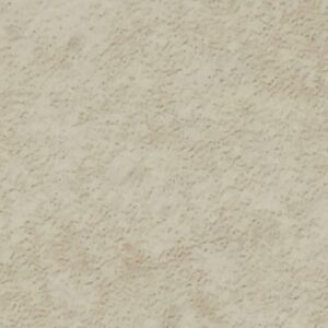 EMPIRE BN by Shaw Floors - Latte