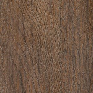 Symbiotic 12 by Shaw Floors - Thicket
