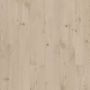 Symbiotic 20 by Shaw Floors - Hayneedle