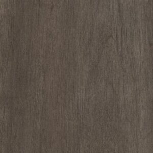 Philosopher's Tree by Philadelphia Commercial - Bronze