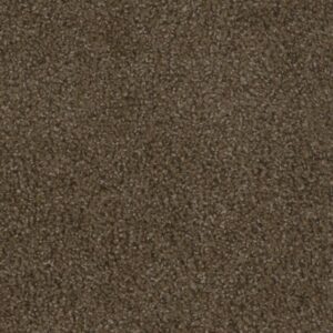 STEP UP by Dreamweaver - Boulder 552