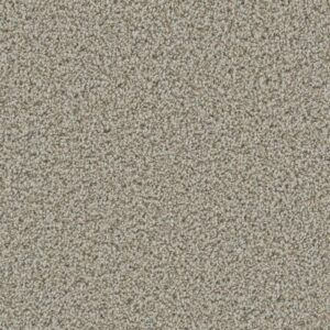 DAZZLING by Dreamweaver - Stucco 905