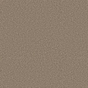 ELEVATED III by Shaw Floors - Rodeo