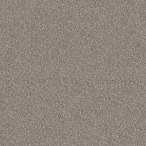 ELEVATED III by Shaw Floors - Perfection