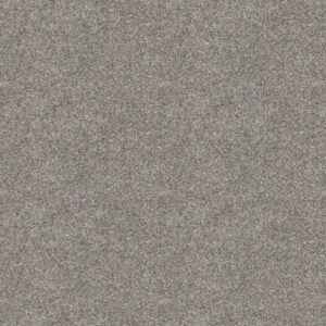 ELEVATED II by Shaw Floors - River Rock