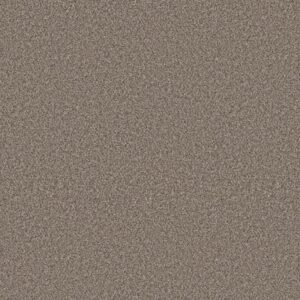 ELEVATED I by Shaw Floors - Prairie