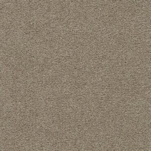 CLEAR SKIES II by Dreamweaver - Warm Teak 784